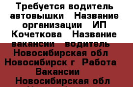 Требуется водитель автовышки › Название организации ­ ИП Кочеткова › Название вакансии ­ водитель - Новосибирская обл., Новосибирск г. Работа » Вакансии   . Новосибирская обл.,Новосибирск г.